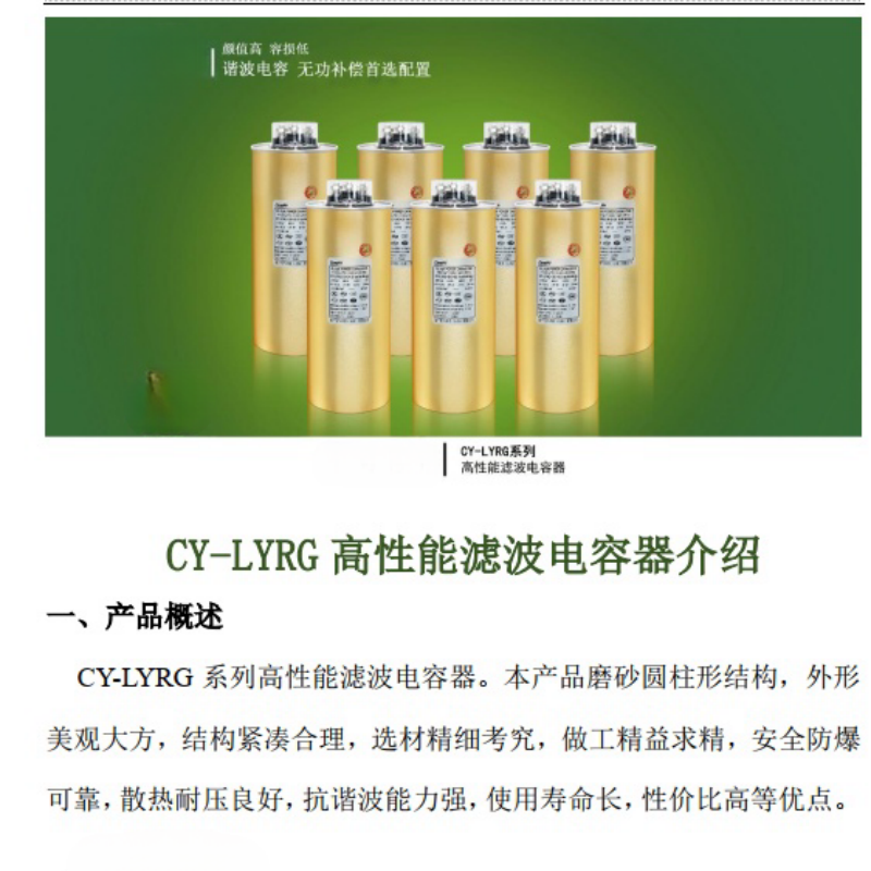 施一CY-LYRG高性能濾波電容器介紹.png