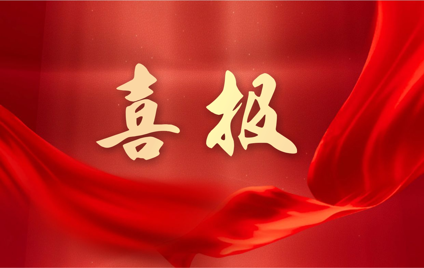 營收凈利雙增長！依頓電子2025年一季度經營業(yè)績續(xù)寫高質量發(fā)展華章